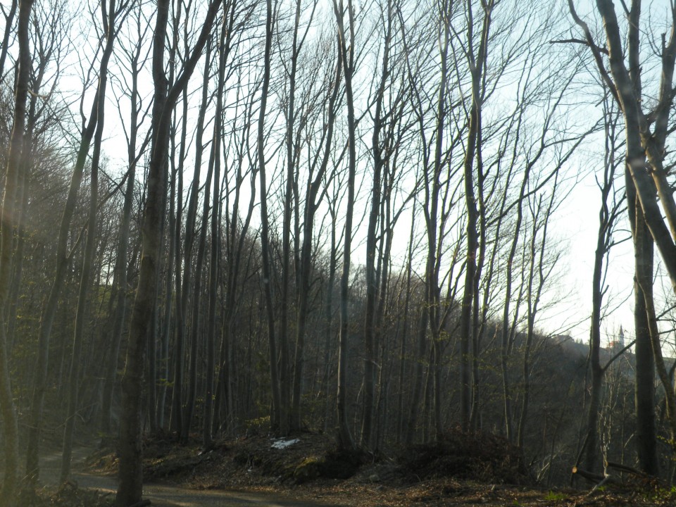 Močilno, Leskovc, Osredek - foto povečava