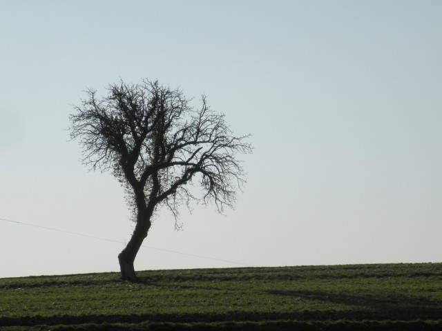 Močilno, Leskovc, Osredek - foto