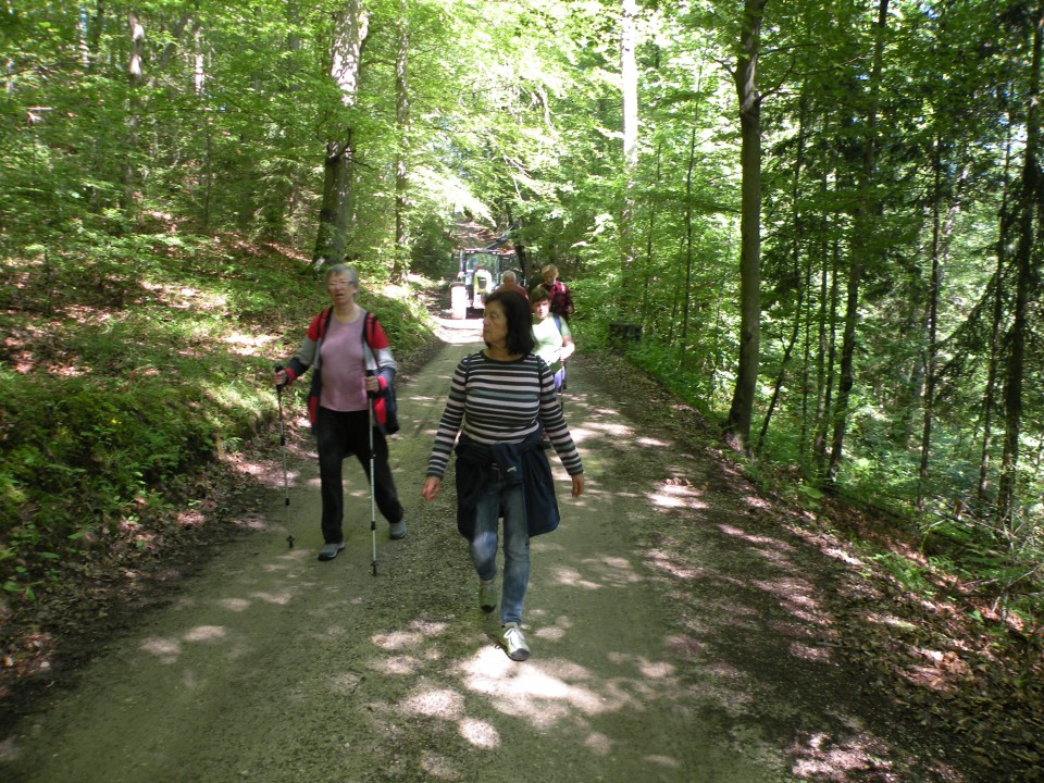 21 Dobrava, Brunška gora - foto povečava