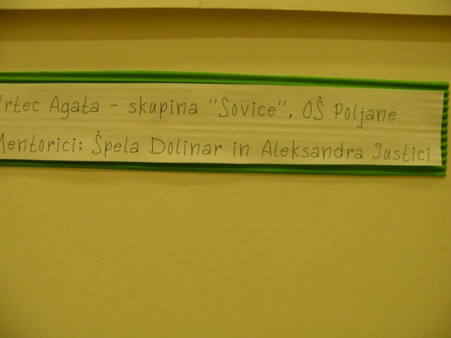 U3 Sevnica predavanje Jasmine Lambergar - foto