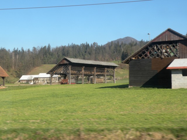 21 Krožek vrednot Llibna Krško - foto