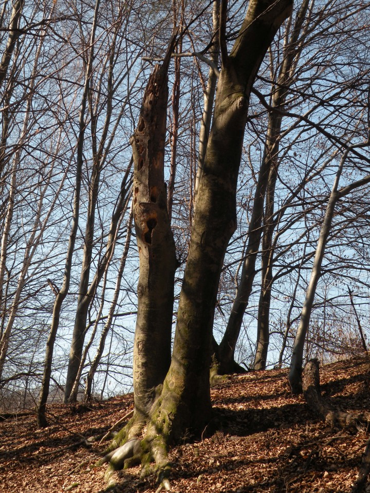 21 Krožek vrednot Llibna Krško - foto povečava