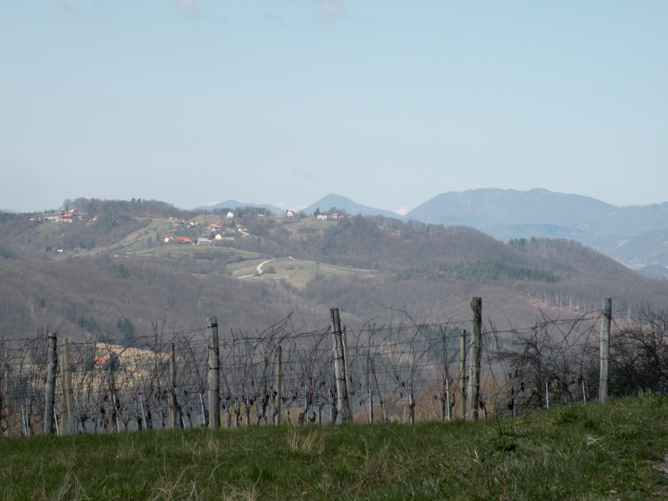 21 Krožek vrednot Llibna Krško - foto povečava