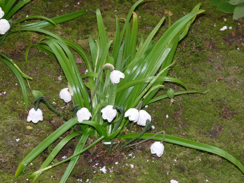 Razstava Besnica 2011 - foto povečava