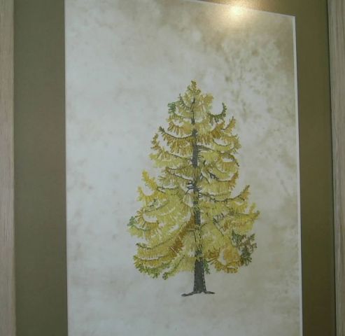 Razstava Žiri 2011 - foto