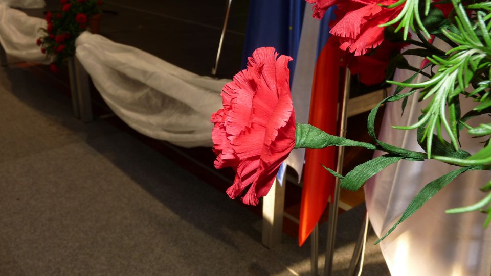Razstava cvetja iz krep papirja Vransko 2013 - foto povečava