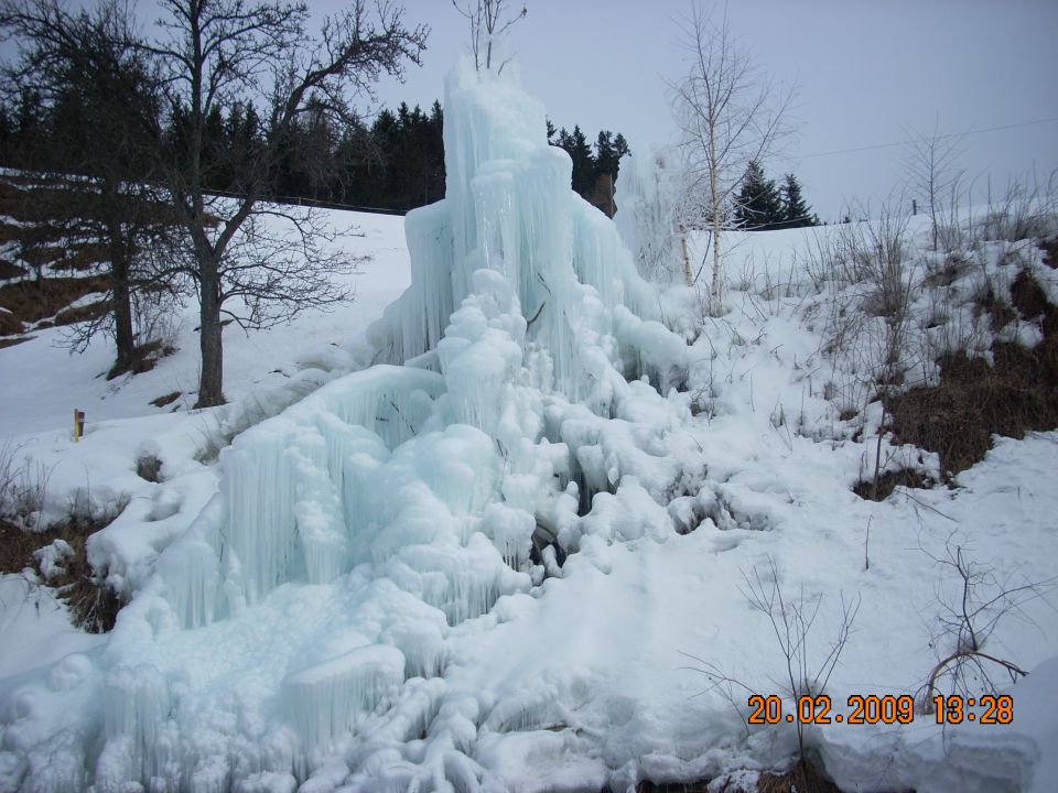 Narava - foto povečava