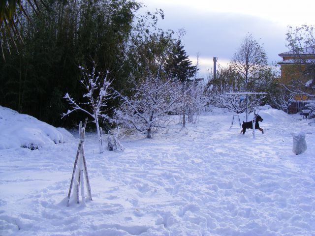 Dec 2012 - foto