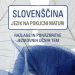 Slovenščina jezik na poklicni maturi