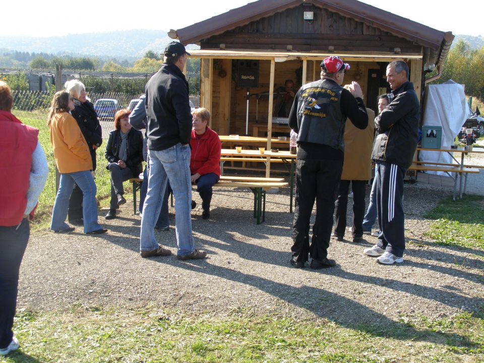 Beloglavi orli-jesenski piknik 2011 - foto povečava