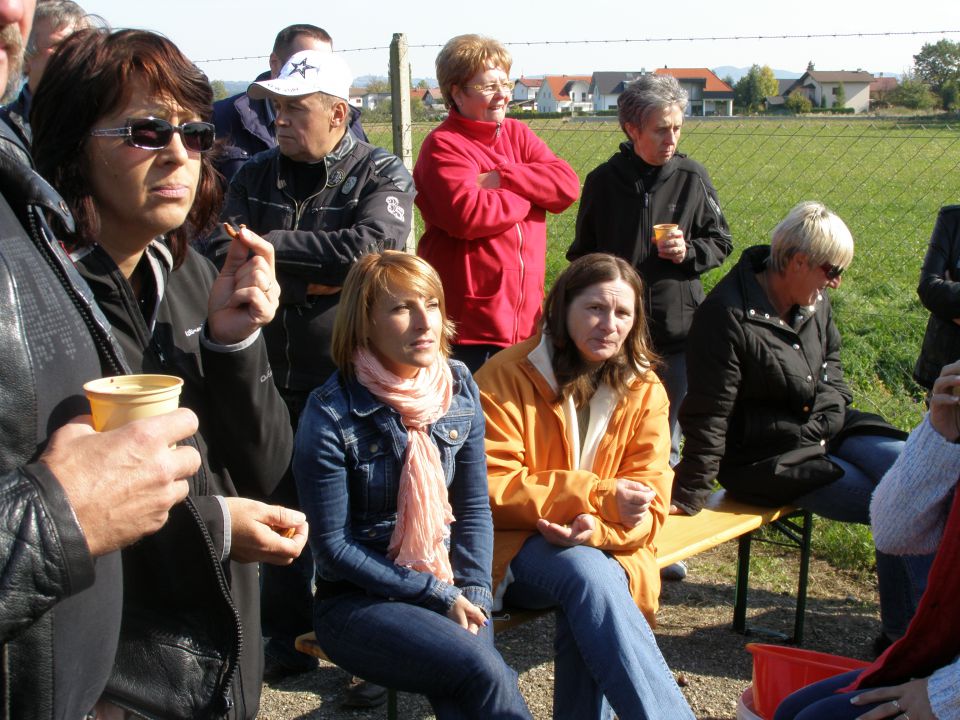 Beloglavi orli-jesenski piknik 2011 - foto povečava