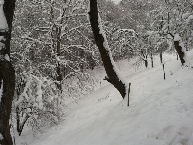 Snegolom 2014.2 - foto