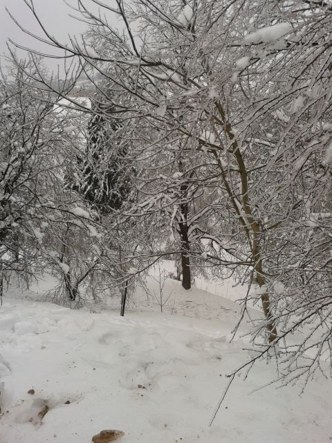 Snegolom 2014.2 - foto
