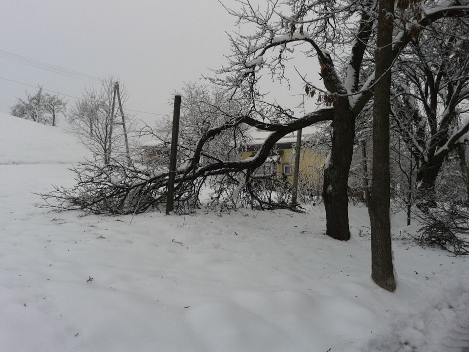 Snegolom 2014.2 - foto povečava