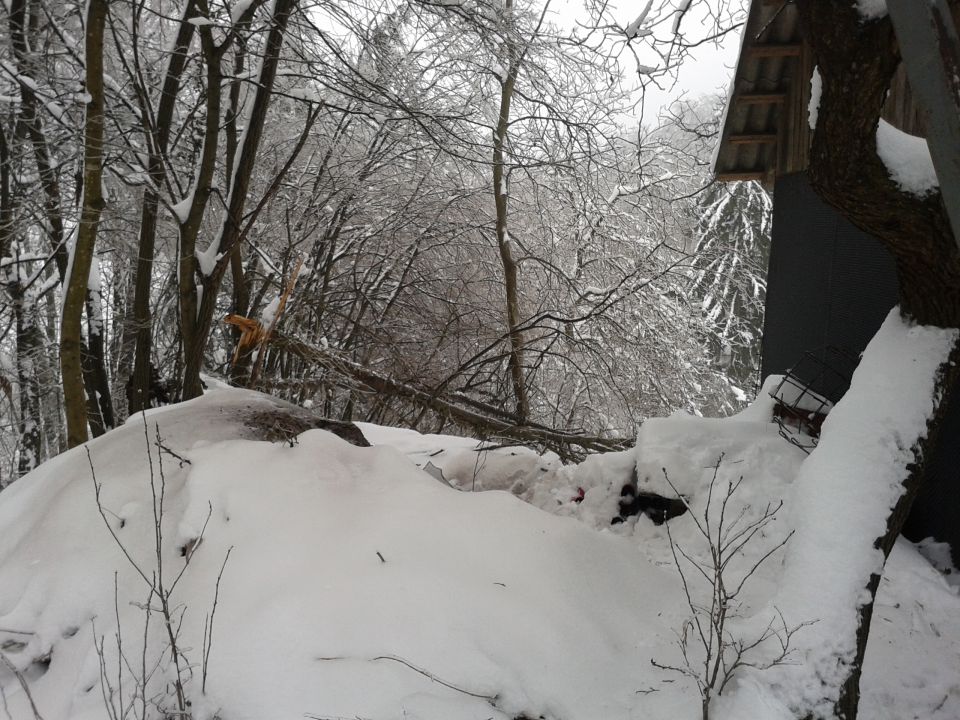 Snegolom 2014.2 - foto povečava