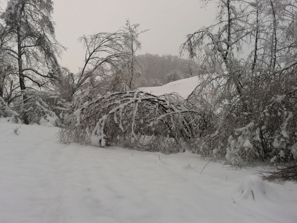 Snegolom 2014.2 - foto povečava