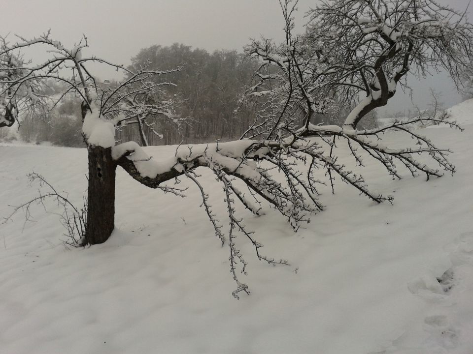 Snegolom 2014.2 - foto povečava