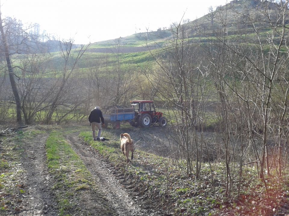 DOMA - foto povečava