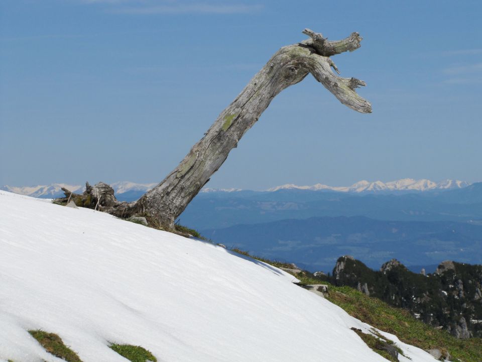 Mojstrovica - foto povečava