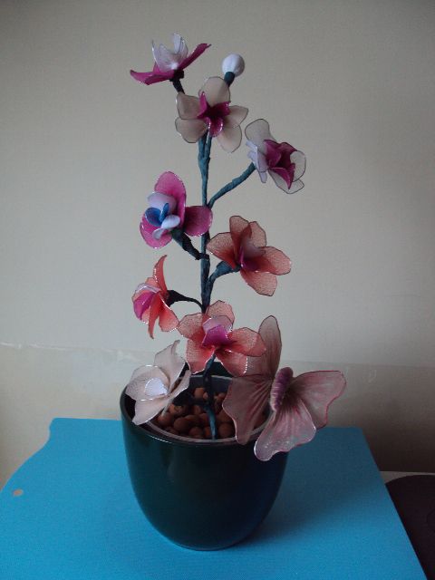 Najlonske orhideje - foto