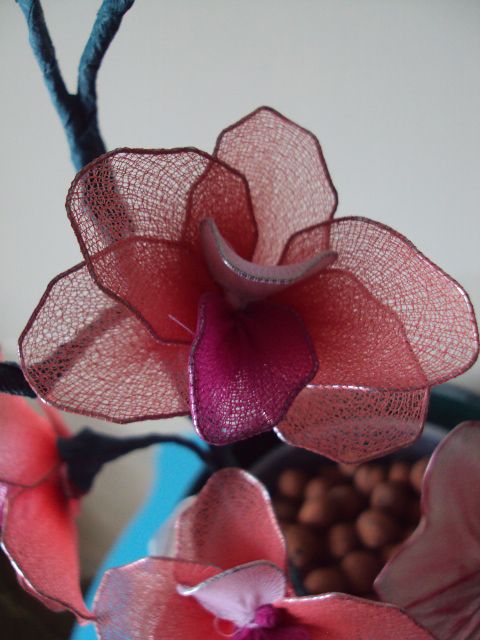 Najlonske orhideje - foto