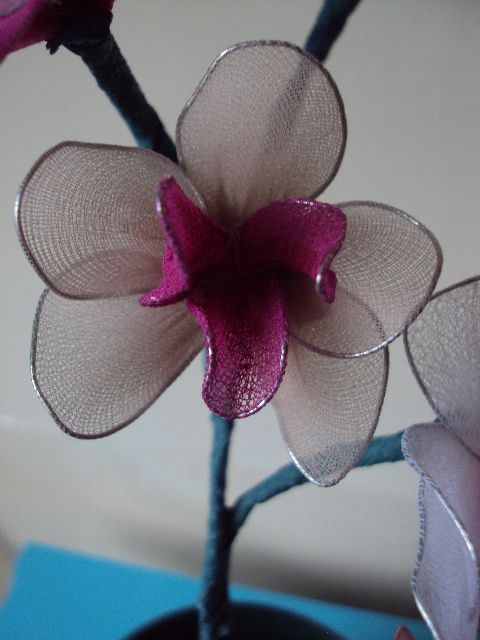 Najlonske orhideje - foto povečava