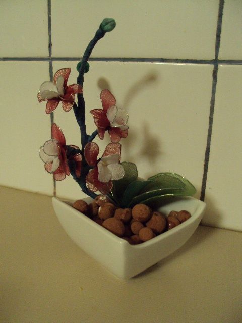 Mini orhideja