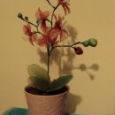 Rdeča orhideja iz najlona