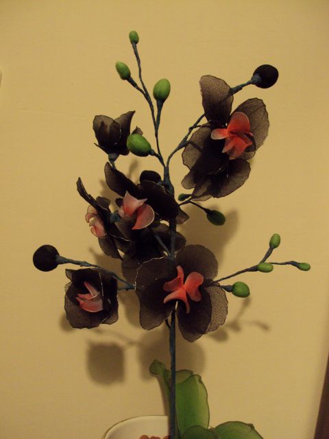 Črna orhideja2 - foto