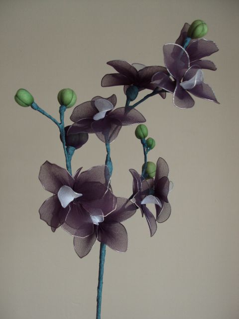 Vijolična orhideja - foto