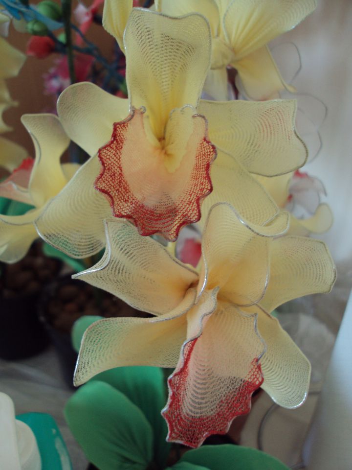 Cymbidium orhideja - foto povečava