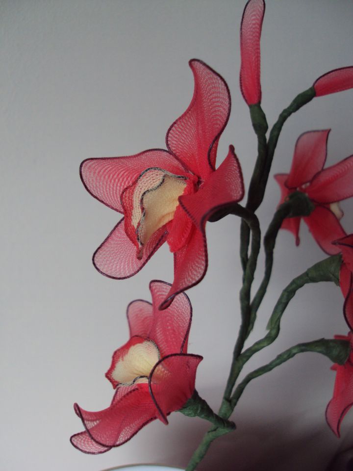 Rdeča cymbidium orhideja - foto povečava