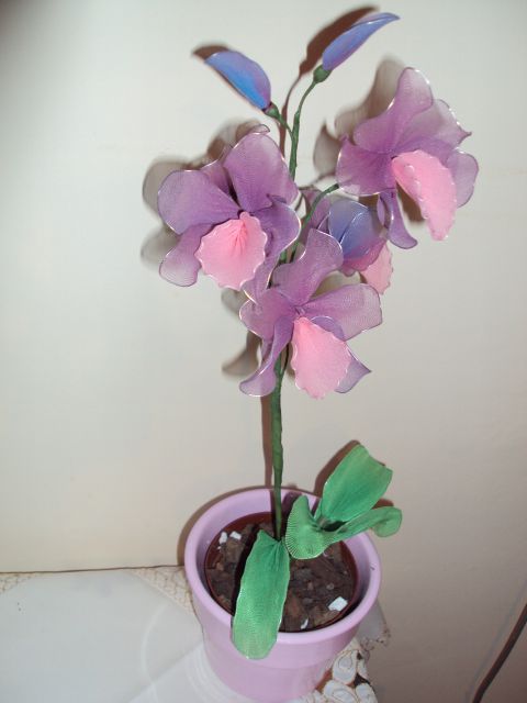 Vijolično-modra+roza Cymbi - foto