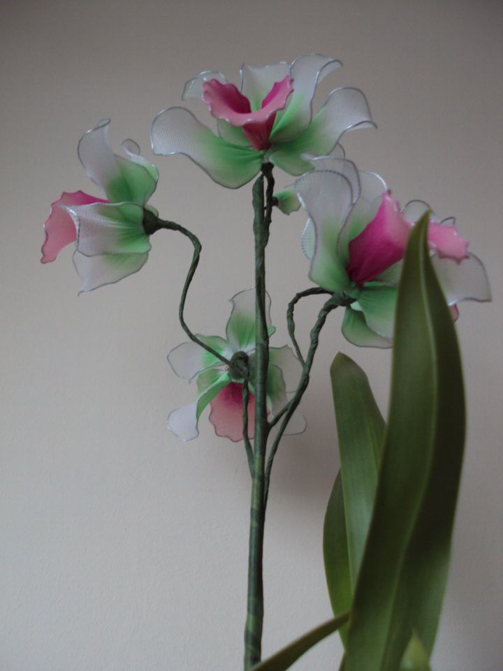 Cymbidium orhideja bela - foto povečava