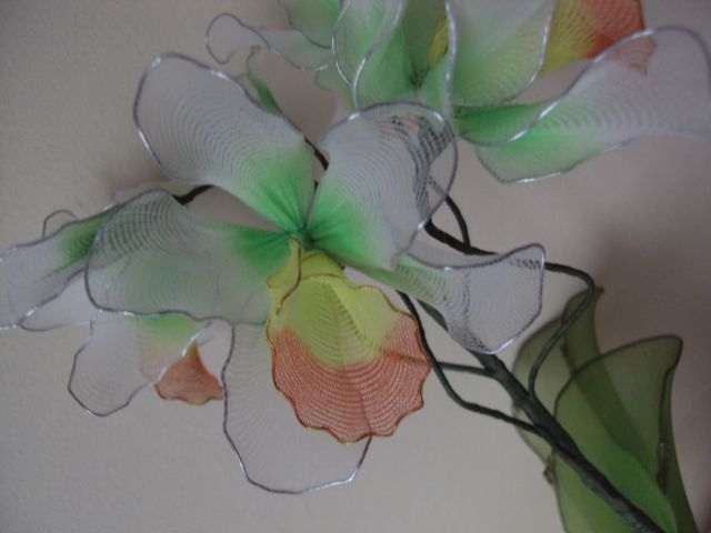 Cymbidium orhideja barvna - foto