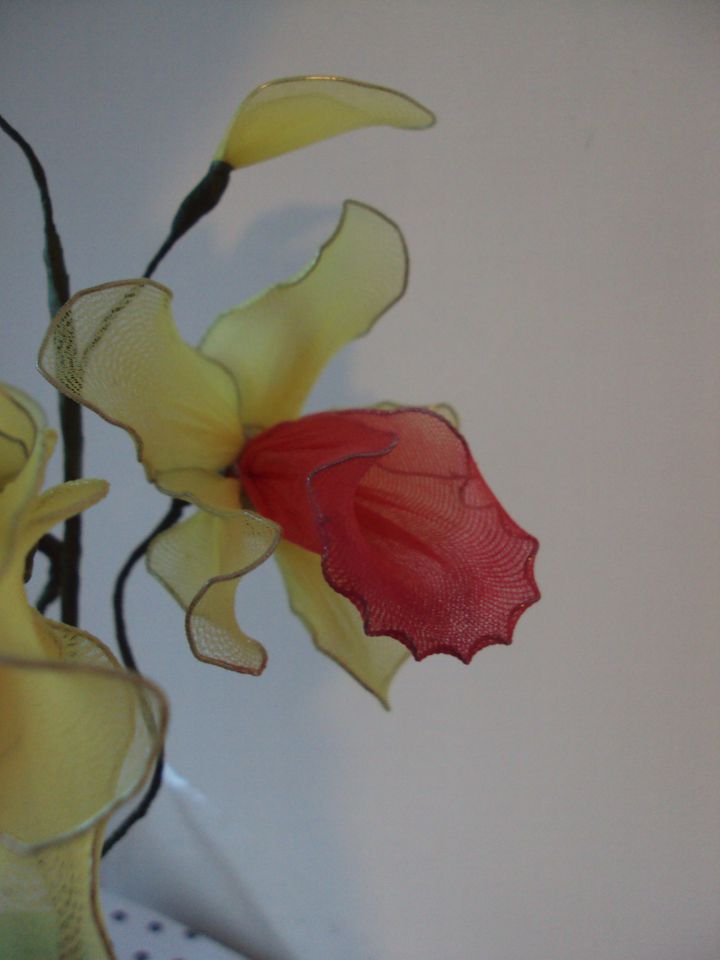 Cymbidium orhideja a - foto povečava