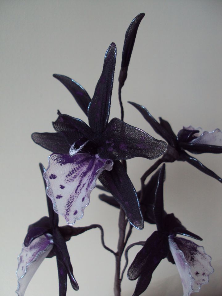 Beautiful dark purple orhideja - foto povečava