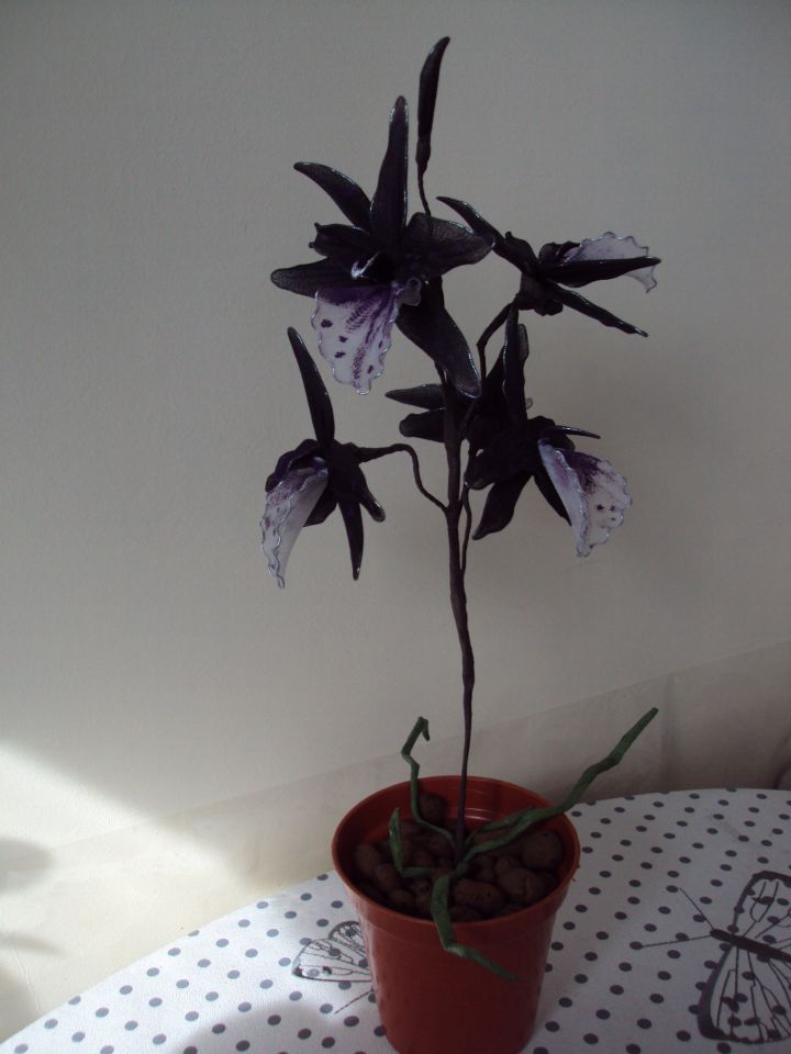 Beautiful dark purple orhideja - foto povečava