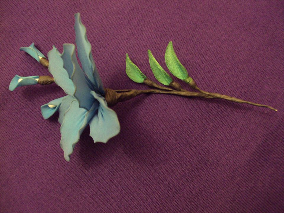 Vejica z modrim cvetom - foto povečava