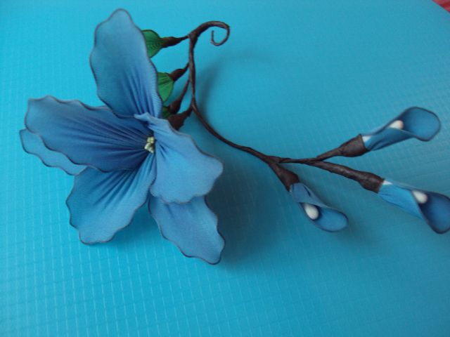 Vejica z modrim cvetom - foto