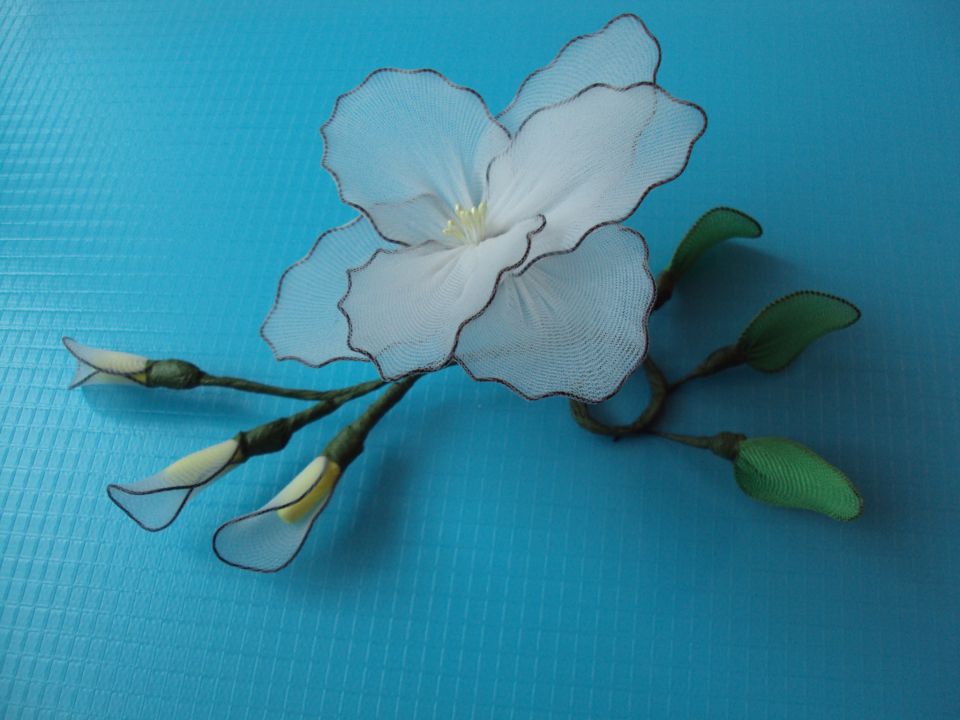Vejica z belim cvetom - foto povečava