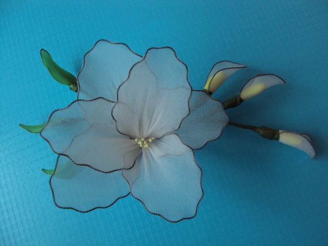Vejica z belim cvetom - foto