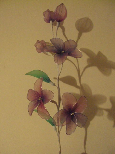 Vejica z vijoličastimi cvetovi - foto