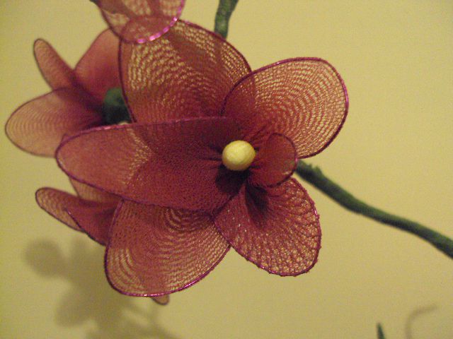 Lila orhideja - foto