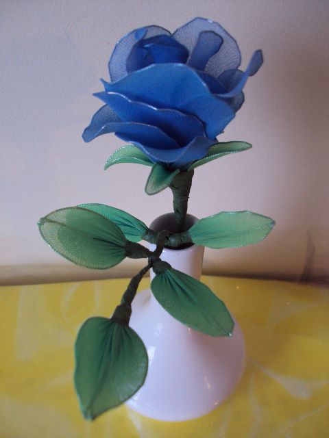 Modra vrtnica - foto povečava