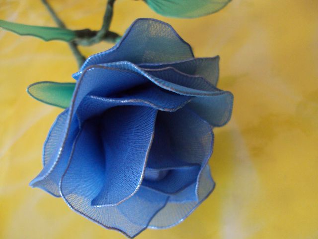 Modra vrtnica - foto