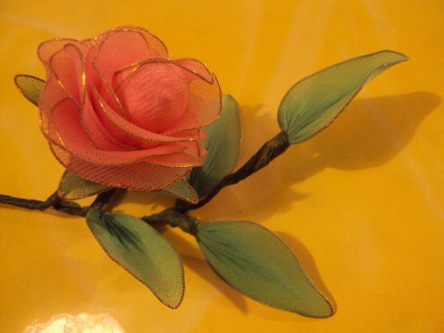 Roza vrtnica - foto