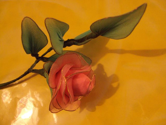 Roza vrtnica - foto