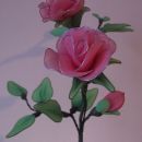 Roza vrtnica2