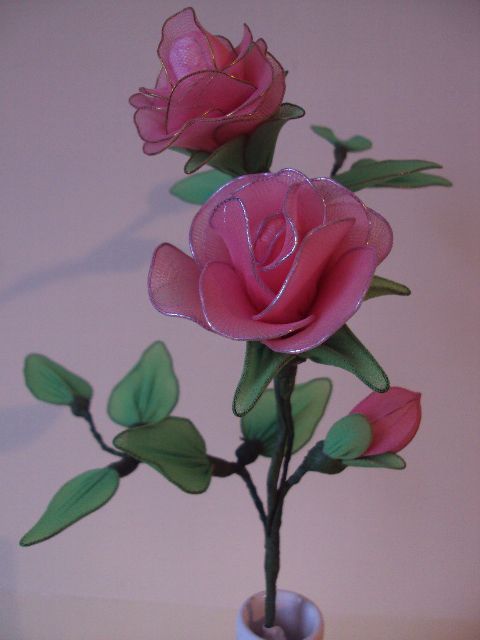 Roza vrtnica2 - foto